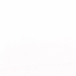 White on White Shirting[513958]