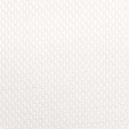 White on White Shirting[513963]