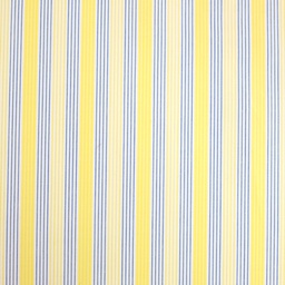 Fancy Stripes and Checks Shirting[512010]