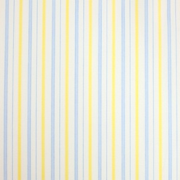 Fancy Stripes and Checks Shirting[512014]