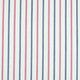 Business Casual Shirting[512038]