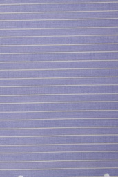 Business Casual Shirting[512135]