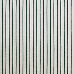 Business Casual Shirting[512163]