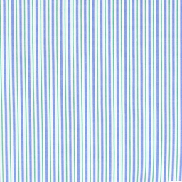 Classic Stripes and Checks[515476]