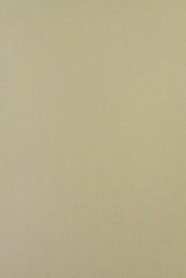 MB Cotton Shirting - 2[510709]