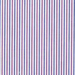 Classic Stripes and Checks[514547]