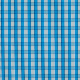 Bold Checks and Stripes[514831]