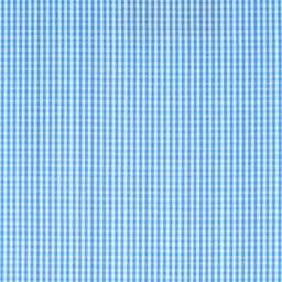 Classic Stripes and Checks[515515]