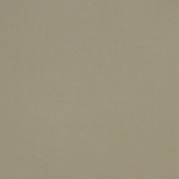 Roberto Cavello (Supima Premium Stretch Cotton)[105859]